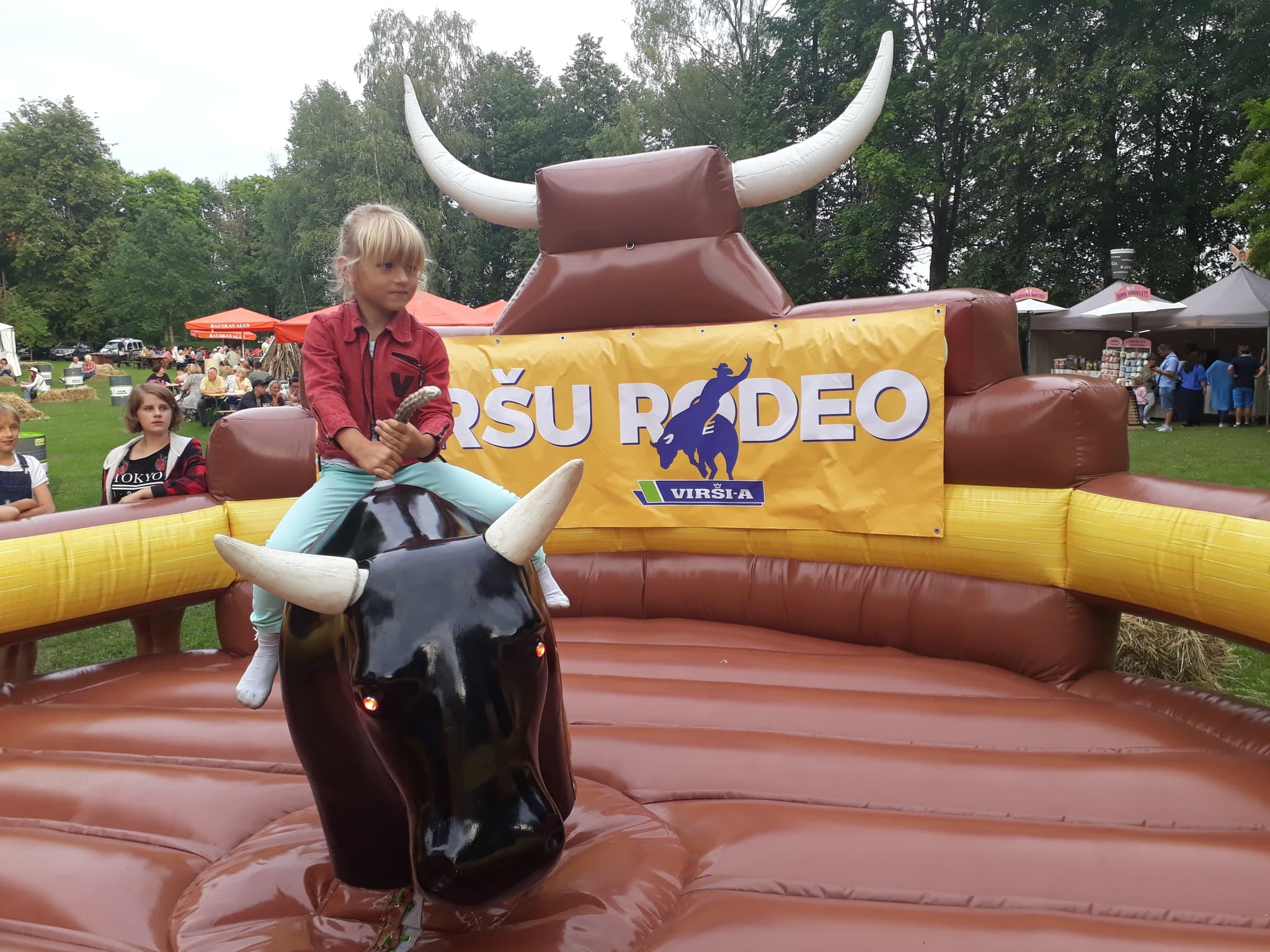 Inflatable attractions 3