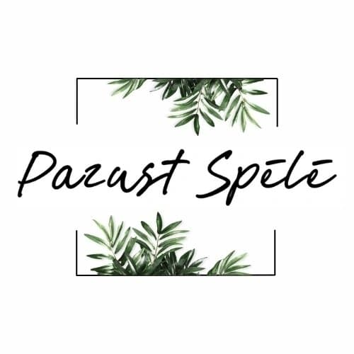 Pazust Spēlē