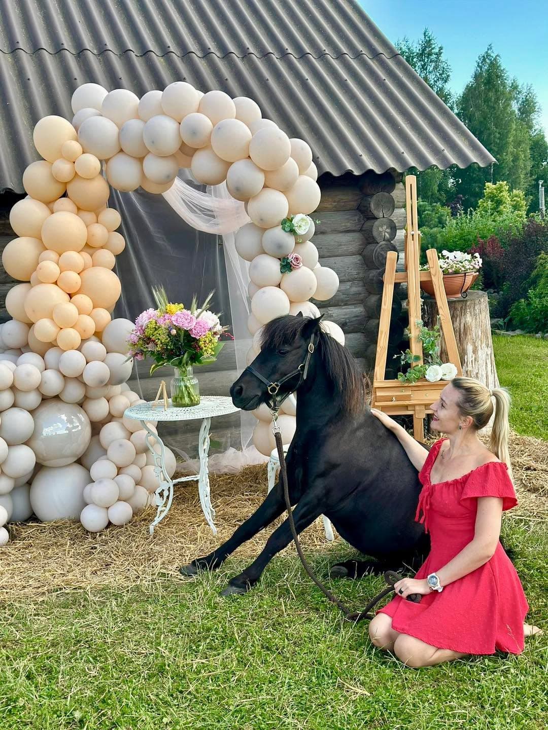 Stallis “Maijrozes”